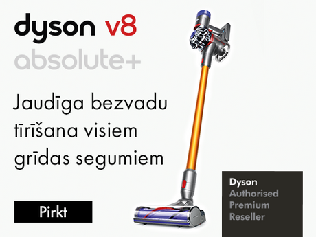 Dyson v8